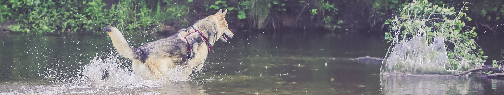 Psyhauterapia - Strona główna
